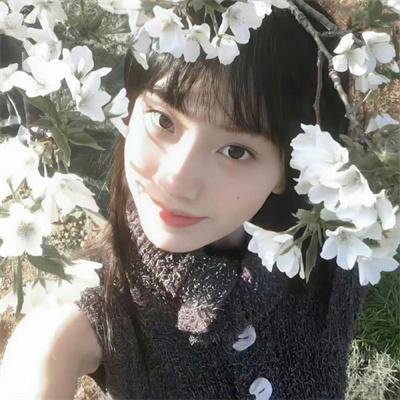 剧集精选